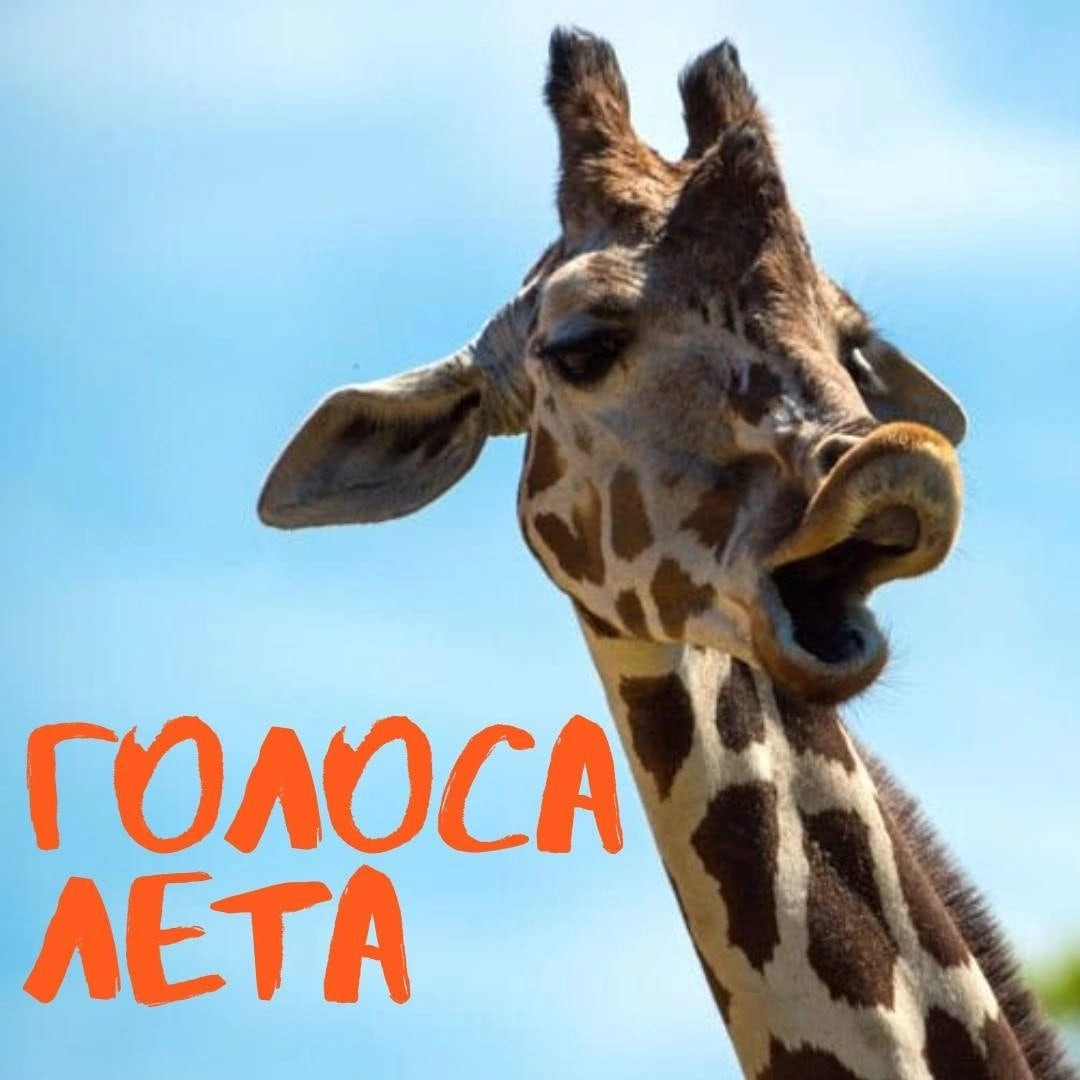 Голосовая терапия