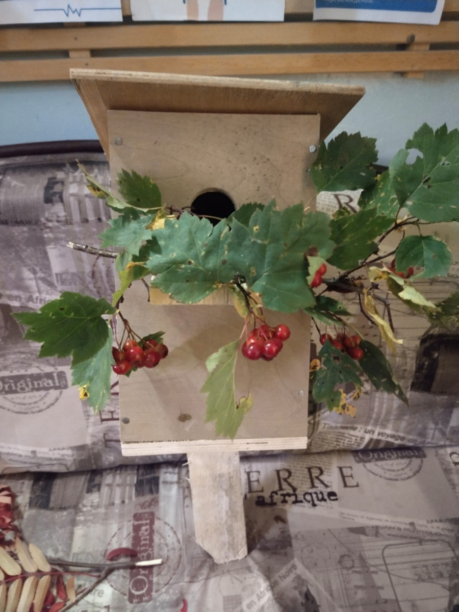 Новости столярной мастерской