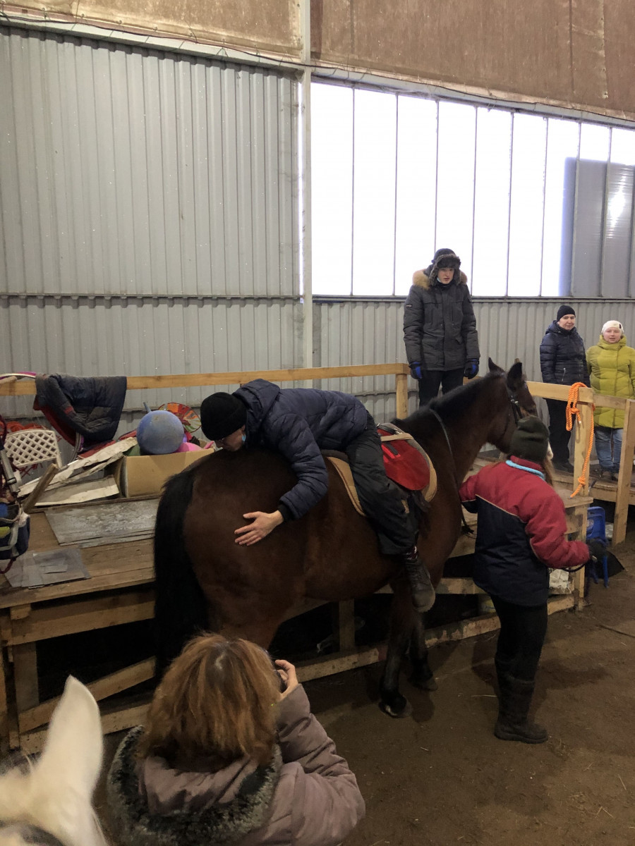 Лошадь - психотерапевт