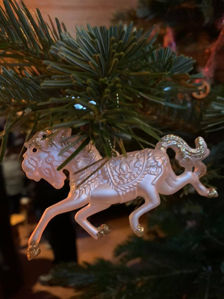 Иппотерапия