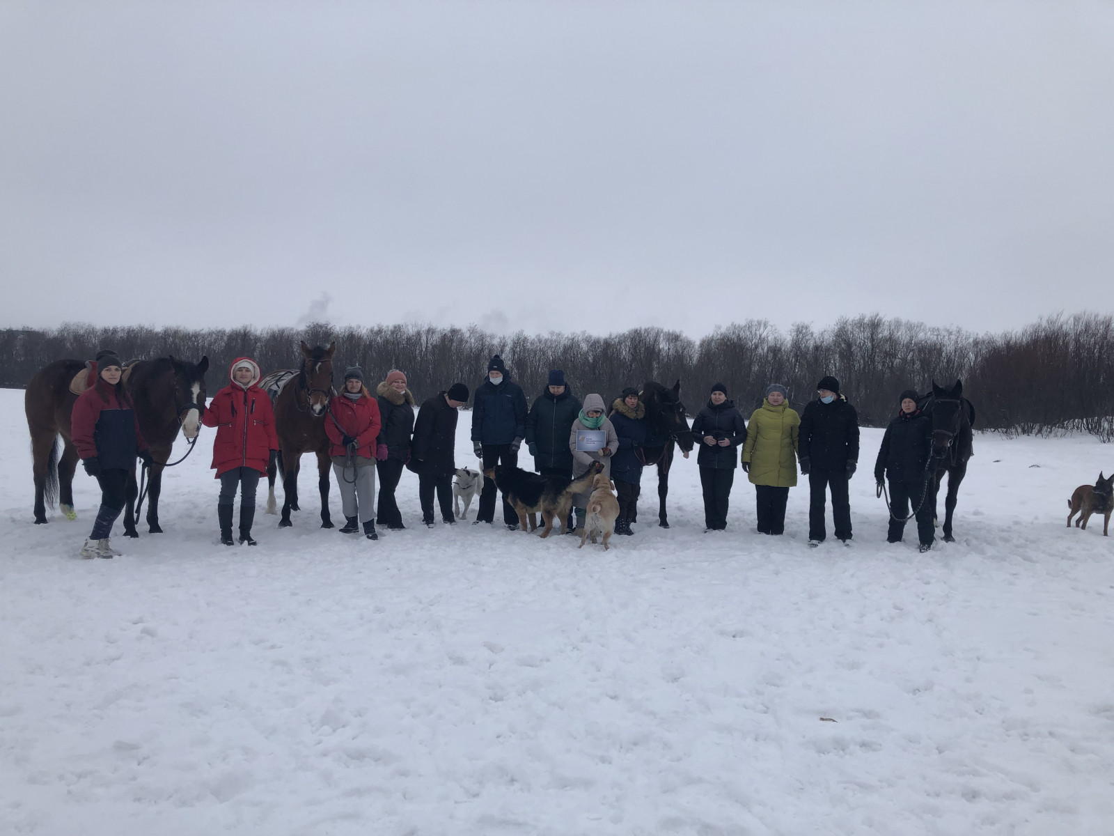 Чудесная иппотерапия