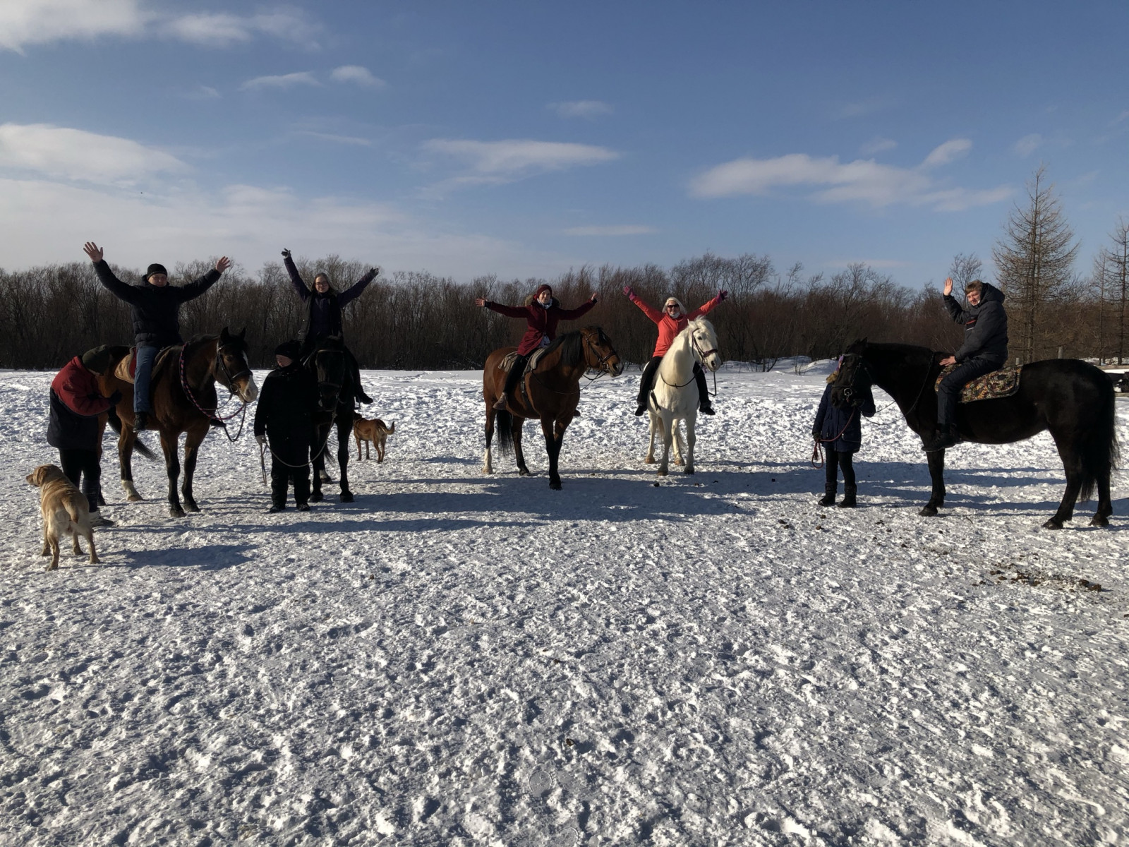 Праздничная иппотерапия