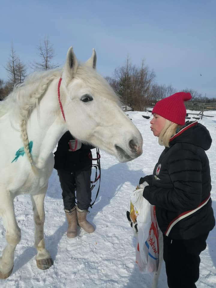 Субботняя иппотерапия