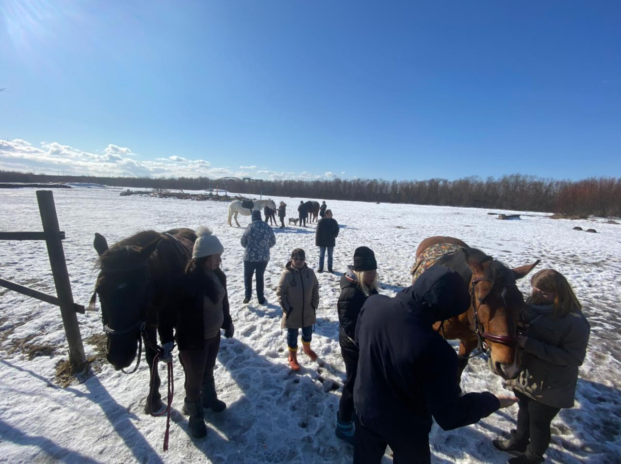 Заключительное занятие по иппотерапии