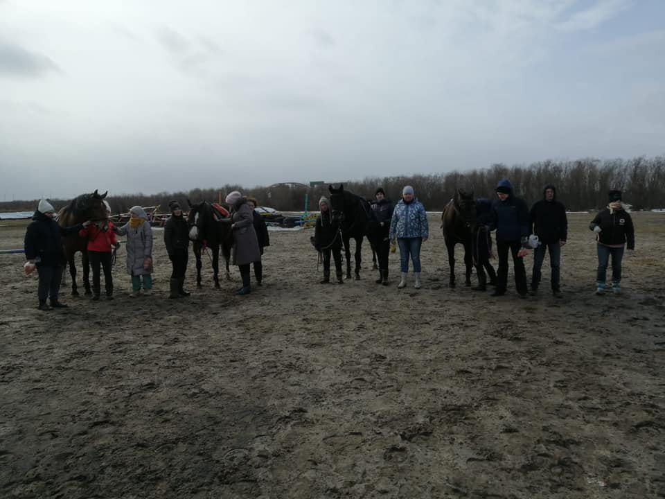 Иппотерапия продолжается