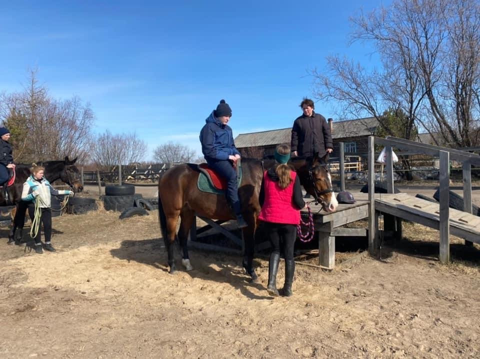 Иппотерапия